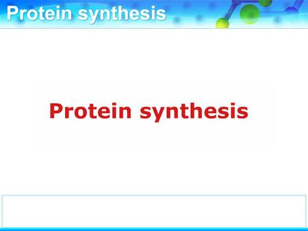 The sequence of bases in a section of DNA determines the sequence of amino acids in the protein it codes for.