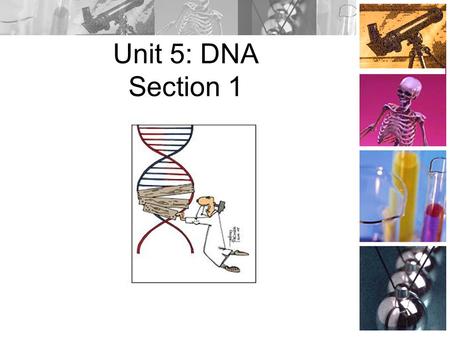 Unit 5: DNA Section 1. Vocabulary Nucleotide- –monomer of a nucleic acids made up of a 5-carbon sugar, a phosphate group, and a nitrogenous base. Base-pairing-