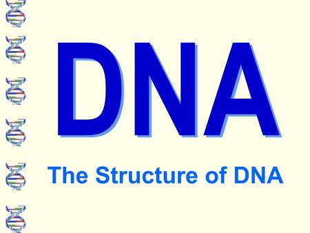 DNA The Structure of DNA. What does the DNA of all these organisms have in common? They all share a universal genetic code.