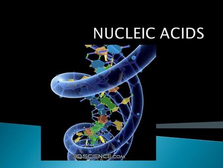 NUCLEIC ACIDS.