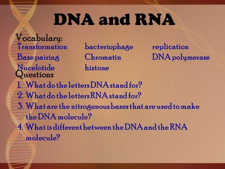 DNA and RNA Questions 1.What do the letters DNA stand for? 2.What do the letters RNA stand for? 3.What are the nitrogenous bases that are used to make.