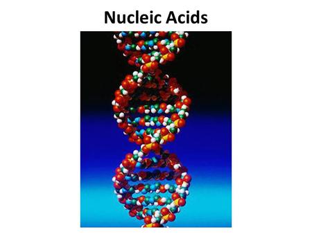 Nucleic Acids.