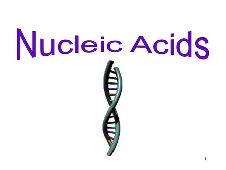 1. Let’s Review! What is a macromolecule? What are the four kinds of organic molecules? What are nucleic acids made of? 2 - A large organic molecule (made.