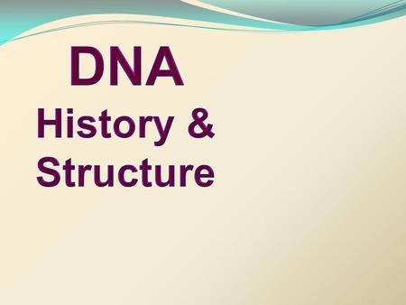 HISTORY OF DNA A. Frederick Griffith – Discovers that a factor in diseased bacteria can transform harmless bacteria into deadly bacteria. (1928) B.Rosalind.