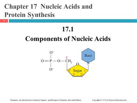 Chemistry: An Introduction to General, Organic, and Biological Chemistry, Eleventh Edition Copyright © 2012 by Pearson Education, Inc. Chapter 17 Nucleic.