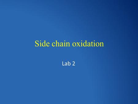 Side chain oxidation Lab 2. Side chain It’s the aliphatic portion of the alkylbenzene.