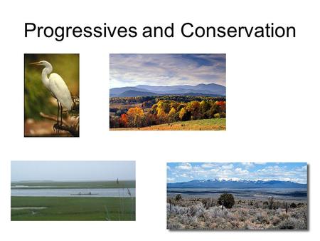 Progressives and Conservation. Progressives and the Wilderness Need to save the wilderness and environment Business interests would use up to make $ Congress.