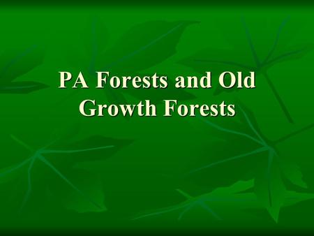 PA Forests and Old Growth Forests