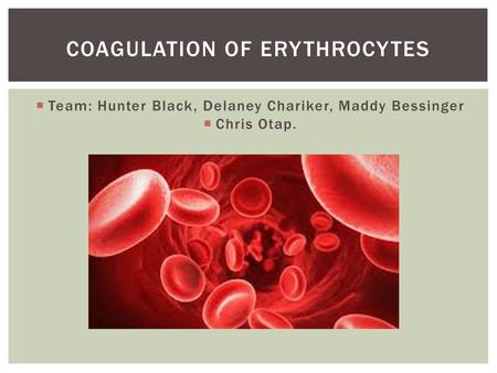  Team: Hunter Black, Delaney Chariker, Maddy Bessinger  Chris Otap. COAGULATION OF ERYTHROCYTES.