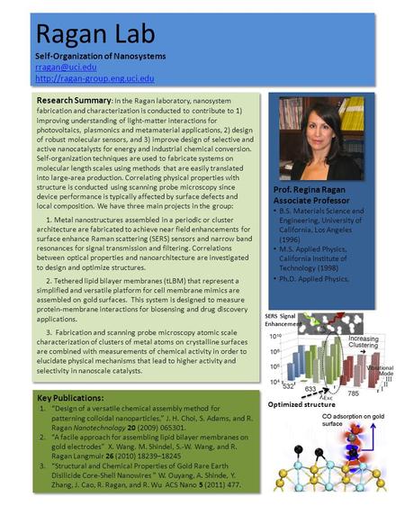 Ragan Lab Self-Organization of Nanosystems   Ragan Lab Self-Organization.