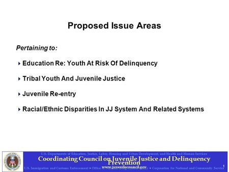 1 Coordinating Council on Juvenile Justice and Delinquency Prevention www.juvenilecouncil.gov U.S. Departments of Education, Justice, Labor, Housing and.