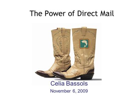 The Power of Direct Mail Celia Bassols November 6, 2009.