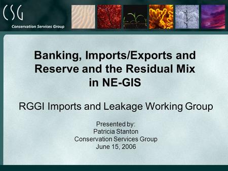 Banking, Imports/Exports and Reserve and the Residual Mix in NE-GIS RGGI Imports and Leakage Working Group Presented by: Patricia Stanton Conservation.