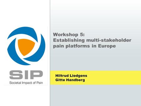 Workshop 5: Establishing multi-stakeholder pain platforms in Europe Hiltrud Liedgens Gitte Handberg.