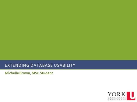 EXTENDING DATABASE USABILITY Michelle Brown, MSc. Student.