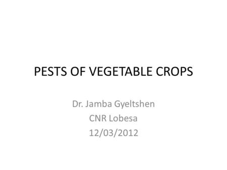 PESTS OF VEGETABLE CROPS Dr. Jamba Gyeltshen CNR Lobesa 12/03/2012.