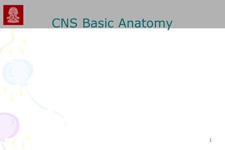 CNS Basic Anatomy.