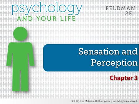 Sensation and Perception