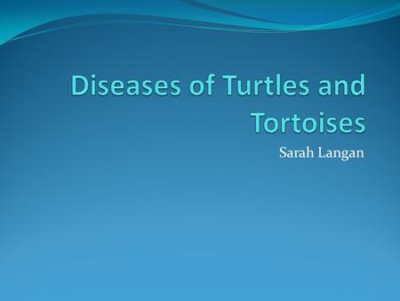 Diseases of Turtles and Tortoises