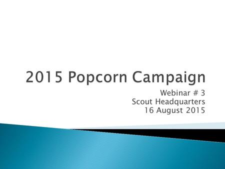 Webinar # 3 Scout Headquarters 16 August 2015.  Separate “Word” document  Group specific  Allow us to see who is not participating and to focus efforts.