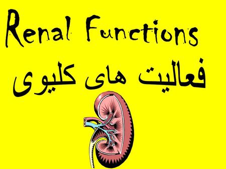 5a. Without references, identify the basic facts and general principles of renal function tests with a minimum of 70% accuracy. (1) Categories of renal.