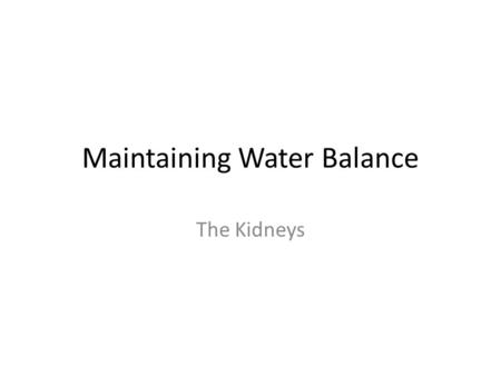 Maintaining Water Balance The Kidneys. Homeostasis Regulation of a stable internal environment no matter where we are or what we do… We put our bodies.