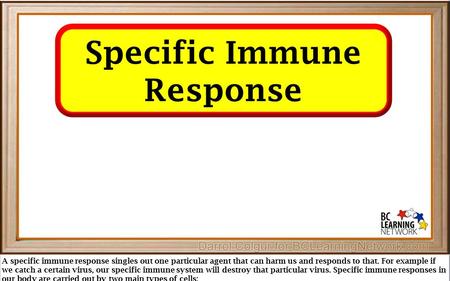 A specific immune response singles out one particular agent that can harm us and responds to that. For example if we catch a certain virus, our specific.