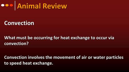 Animal Review Convection What must be occurring for heat exchange to occur via convection? Convection involves the movement of air or water particles to.