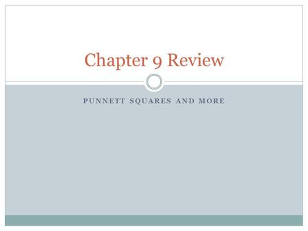 PUNNETT SQUARES AND MORE Chapter 9 Review. Define genotype. The genetic makeup of an organism.