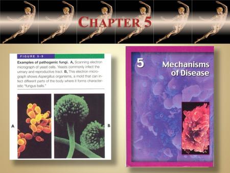 C HAPTER 5. AFTER YOU HAVE COMPLETED THIS CHAPTER, YOU SHOULD BE ABLE TO: 1. Define the terms health and disease. 2. List and describe the basic mechanisms.