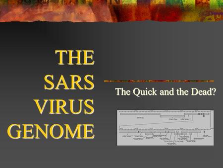 THE SARS VIRUS GENOME The Quick and the Dead?. SARS Severe Acute Respiratory Syndrome First identified in Guangdong Province, China Mortality 3-6% (45-63%