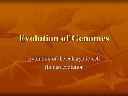 Evolution of Genomes Evolution of the eukaryotic cell Human evolution.