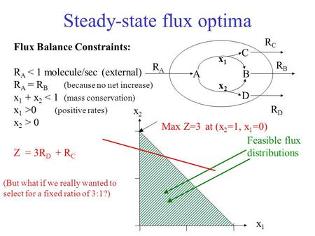 Steady-state flux optima AB RARA x1x1 x2x2 RBRB D C Feasible flux distributions x1x1 x2x2 Max Z=3 at (x 2 =1, x 1 =0) RCRC RDRD Flux Balance Constraints: