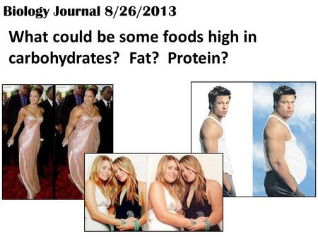 Biology Journal 8/26/2013 What could be some foods high in carbohydrates? Fat? Protein?