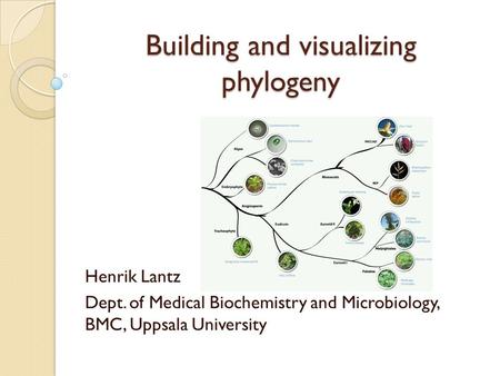 Building and visualizing phylogeny Henrik Lantz Dept. of Medical Biochemistry and Microbiology, BMC, Uppsala University.