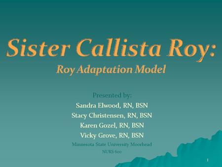 Presented by: Sandra Elwood, RN, BSN Stacy Christensen, RN, BSN Karen Gozel, RN, BSN Vicky Grove, RN, BSN Minnesota State University Moorhead NURS 600.
