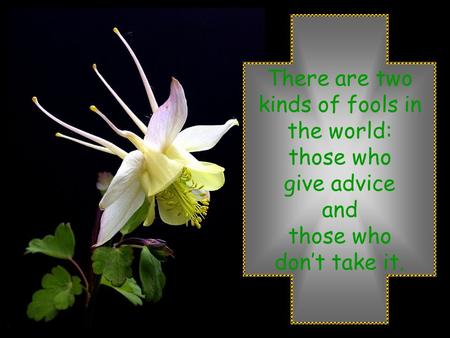 There are two kinds of fools in the world: those who give advice and those who don’t take it.