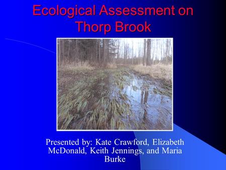 Ecological Assessment on Thorp Brook Presented by: Kate Crawford, Elizabeth McDonald, Keith Jennings, and Maria Burke.