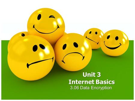 3.06 Data Encryption Unit 3 Internet Basics. Introduction In May of 2006, an analyst with the U.S. Department of Veterans Affairs was robbed of his notebook.