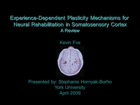 Experience-Dependent Plasticity Mechanisms for Neural Rehabilitation in Somatosensory Cortex A Review Kevin Fox Presented by: Stephanie Hornyak-Borho York.