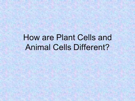 How are Plant Cells and Animal Cells Different?. How is Mitosis Different in Plant Cells? Plant cells do not have centrioles. Plant cells do Not do Cytokinesis.