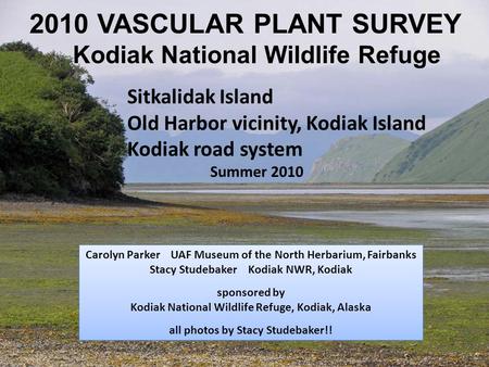 2010 VASCULAR PLANT SURVEY Kodiak National Wildlife Refuge Sitkalidak Island Old Harbor vicinity, Kodiak Island Kodiak road system Summer 2010 Carolyn.