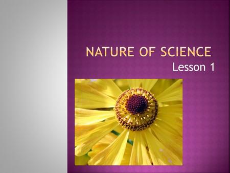 Lesson 1. Understanding Science What is scientific inquiry? What are the results of scientific investigations? How can a scientist prevent bias in a scientific.