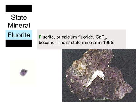 State Mineral Fluorite Fluorite, or calcium fluoride, CaF 2, became Illinois’ state mineral in 1965.