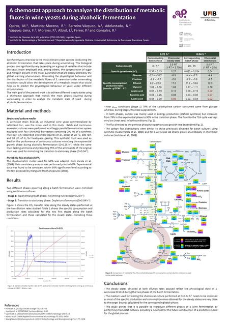 A chemostat approach to analyze the distribution of metabolic fluxes in wine yeasts during alcoholic fermentation Quirós, M. 1, Martínez-Moreno, R. 1,