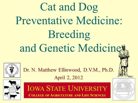 Cat and Dog Preventative Medicine: Breeding and Genetic Medicine Dr. N. Matthew Ellinwood, D.V.M., Ph.D. April 2, 2012 I OWA S TATE U NIVERSITY C OLLEGE.