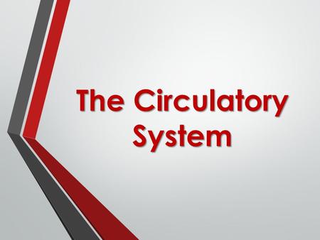 The Circulatory System. 3 Main Functions 1. Transport Oxygen from lungs 2. Transport Carbon Dioxide to lungs 3. Carry nutrients to body.