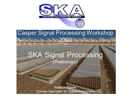 Casper Signal Processing Workshop 2009 SKA Signal Processing (Preliminary) Wallace Turner Domain Specialist for Signal Processing.