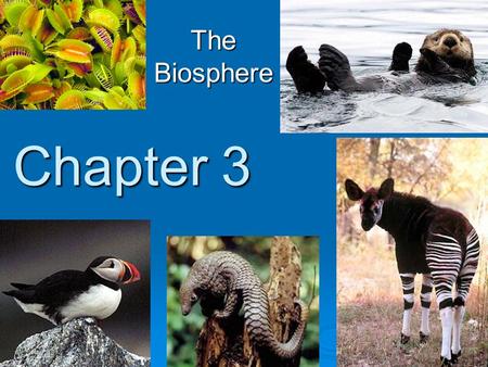 The Biosphere Chapter 3.