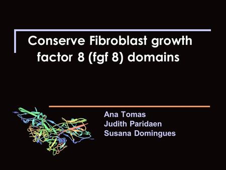 Conserve Fibroblast growth factor 8 (fgf 8) domains Ana Tomas Judith Paridaen Susana Domingues.